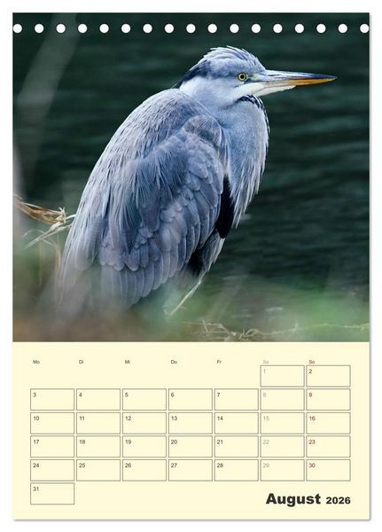 Produktbild: Vogelwelt an der Sieg (Tischkalender 2026 DIN A5 hoch), CALVENDO Monatskalender