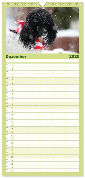 Produktbild: Familienplaner 2026 - Faszination Hund mit 5 Spalten (Wandkalender, 21 x 45 cm) CALVENDO