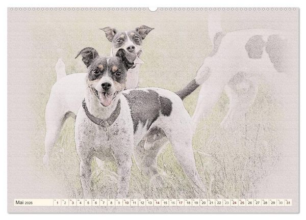 Produktbild: Bodeguero Andaluz 2026 (Wandkalender 2026 DIN A2 quer), CALVENDO Monatskalender