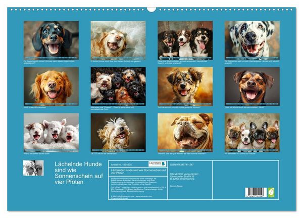 Produktbild: L&auml;chelnde Hunde sind wie Sonnenschein auf vier Pfoten (Wandkalender 2026 DIN A2 quer), CALVENDO Monatskalender