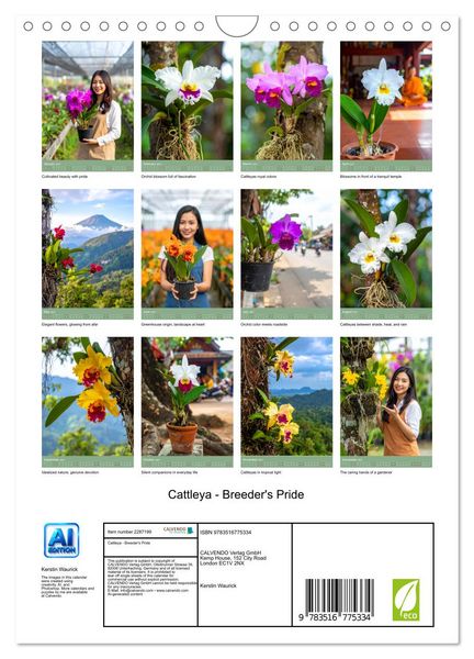 Produktbild: Cattleya - Breeder's Pride (Wall Calendar 2027 DIN A4 portrait), CALVENDO 12 Month Wall Calendar