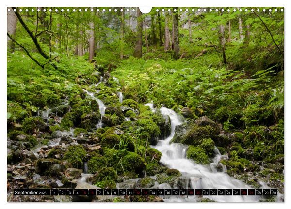 Produktbild: Waldwasser (Wandkalender 2026 DIN A3 quer), CALVENDO Monatskalender