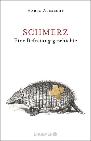 Produktbild: Schmerz