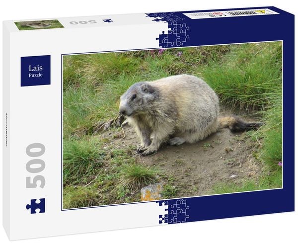 Lais Puzzle Murmeltier 500 Teile