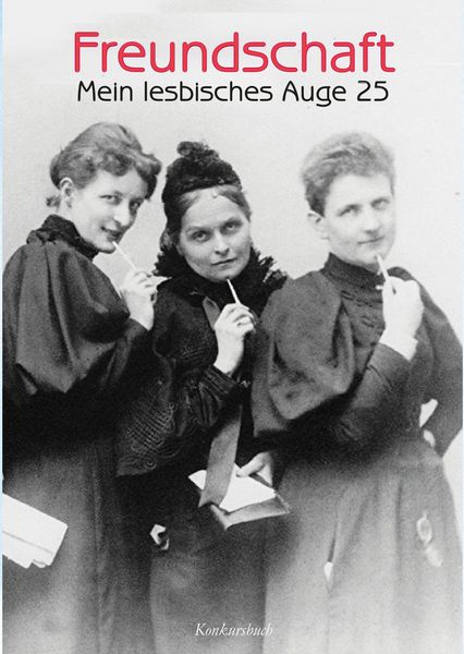 Produktbild: Mein lesbisches Auge 25: Freundschaft