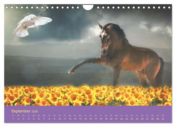 Produktbild: Von der Magie der Pferde (Wandkalender 2026 DIN A4 quer), CALVENDO Monatskalender