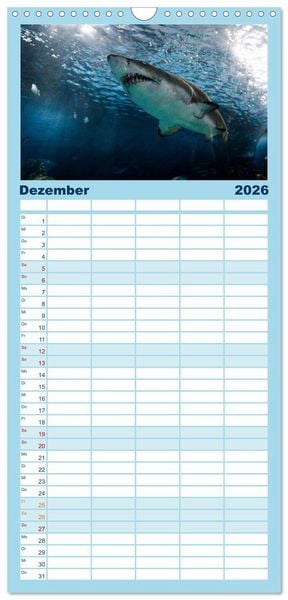 Produktbild: Familienplaner 2026 - Haie - K&ouml;nige der Meere. mit 5 Spalten (Wandkalender, 21 x 45 cm) CALVENDO
