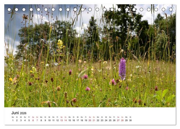 Produktbild: Zauberhafte Schw&auml;bische Alb (Tischkalender 2026 DIN A5 quer), CALVENDO Monatskalender