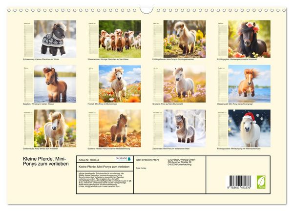 Produktbild: Kleine Pferde. Mini-Ponys zum verlieben (Wandkalender 2026 DIN A3 quer), CALVENDO Monatskalender