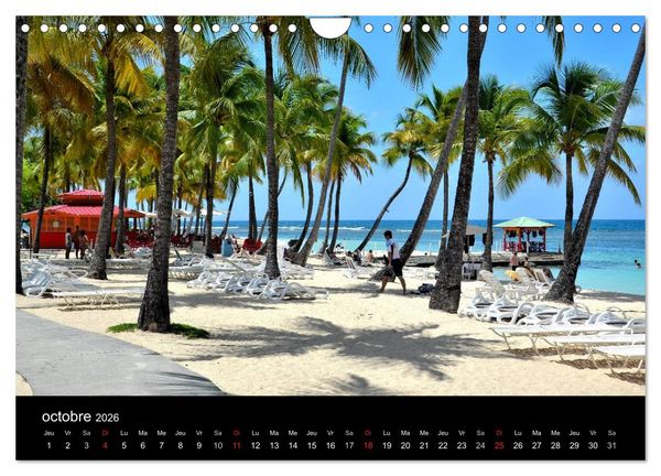 Produktbild: Paysages de Guadeloupe (Calendrier mural 2026 DIN A4 vertical), CALVENDO calendrier mensuel