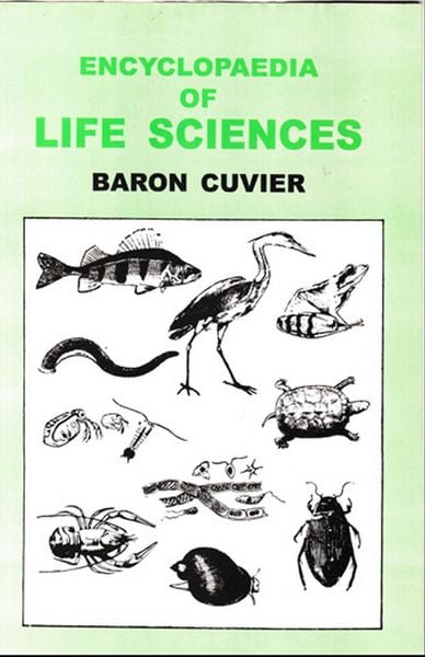 Produktbild: Encyclopaedia of Life Sciences (Class Mammalia)