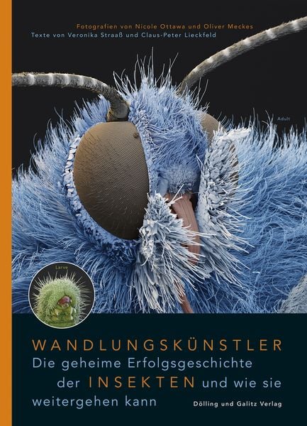 Produktbild: Wandlungskünstler. Die geheime Erfolgsgeschichte der Insekten und wie sie weitergehen kann