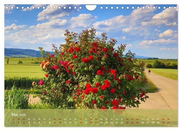 Produktbild: Wanderparadies S&uuml;dpfalz (Wandkalender 2026 DIN A4 quer), CALVENDO Monatskalender