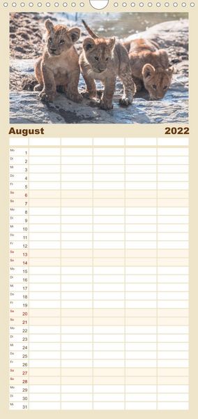 Produktbild: L&ouml;wen - Raubkatzen Afrikas - Familienplaner hoch (Wandkalender 2022 , 21 cm x 45 cm, hoch)