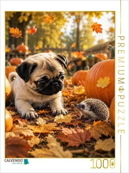 CALVENDO Puzzle Ein stacheliger Freund | 1000 Teile Lege-Größe 64 × 48 cm Foto-Puzzle für glückliche Stunden