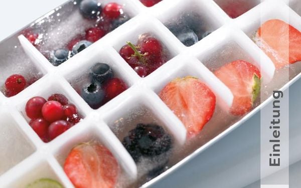 Produktbild: Smoothies, Shakes & Co.