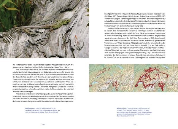 Produktbild: Reptilien in der Schweiz