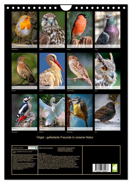 Produktbild: V&ouml;gel - gefiederte Freunde in unserer Natur (Wandkalender 2026 DIN A4 hoch), CALVENDO Monatskalender