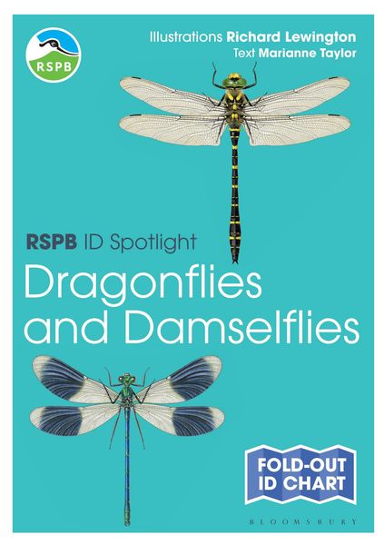Produktbild: RSPB ID Spotlight - Dragonflies and Damselflies
