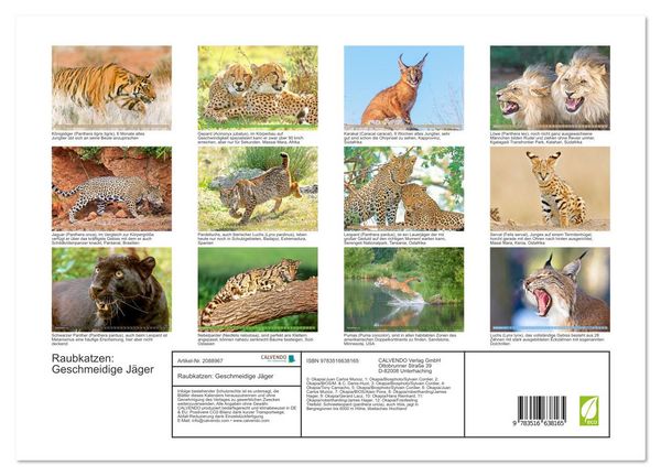 Produktbild: Raubkatzen: Geschmeidige J&auml;ger (hochwertiger Premium Wandkalender 2026 DIN A2 quer), Kunstdruck in Hochglanz