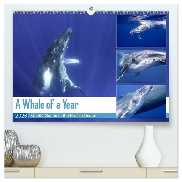 Produktbild: A Whale of a Year (High Quality Premium Wall Calendar 2026 DIN A2 landscape),CALVENDO 12 Month Wall Calendar