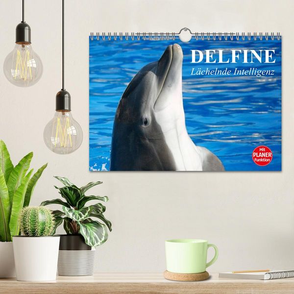 Produktbild: Delfine - L&auml;chelnde Intelligenz (Wandkalender 2026 DIN A4 quer), CALVENDO Monatskalender