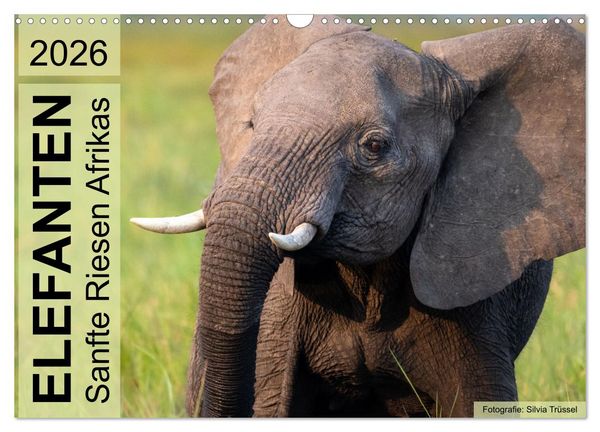 Produktbild: Elefanten - Sanfte Riesen Afrikas (Wandkalender 2026 DIN A3 quer), CALVENDO Monatskalender