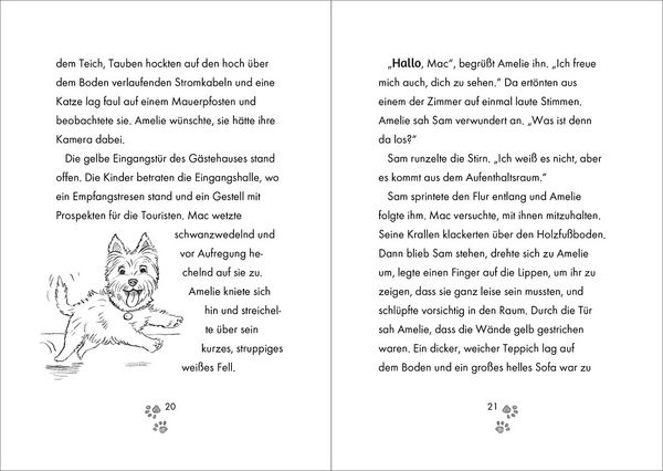 Produktbild: Tierklinik Pf&ouml;tchen (Band 3) - Kleiner Fuchs in Not