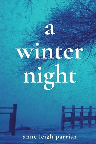 Produktbild: A Winter Night