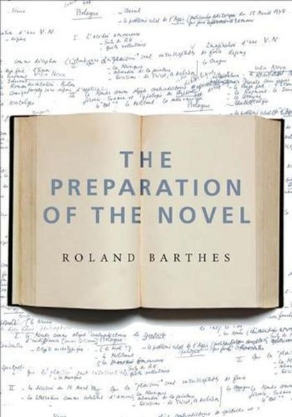 Produktbild: The Preparation of the Novel