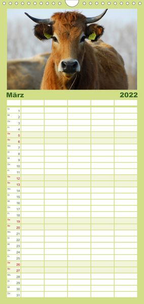 Produktbild: Ein Herz f&uuml;r Rinder - Familienplaner hoch (Wandkalender 2022 , 21 cm x 45 cm, hoch)