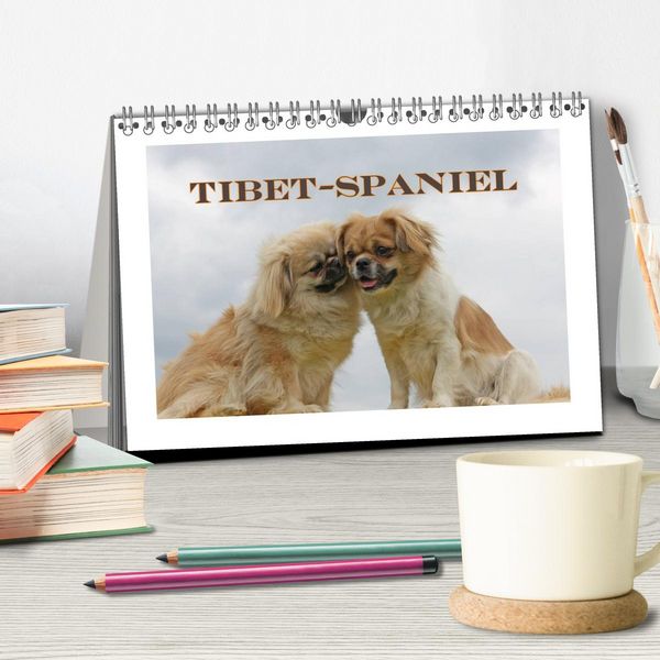 Produktbild: Tibet-Spaniel (Tischkalender 2026 DIN A5 quer), CALVENDO Monatskalender