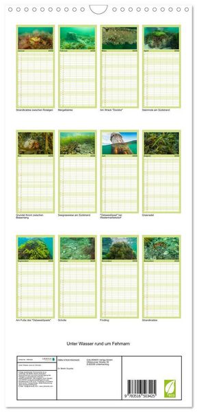 Produktbild: Familienplaner 2026 - Unter Wasser rund um Fehmarn mit 5 Spalten (Wandkalender, 21 x 45 cm) CALVENDO