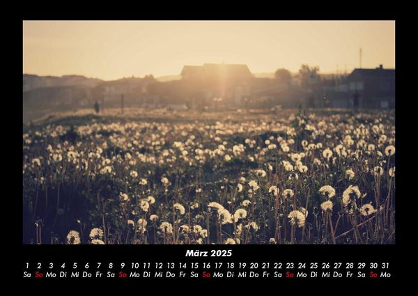 Produktbild: Bilder aus der Natur 2025 Fotokalender DIN A3