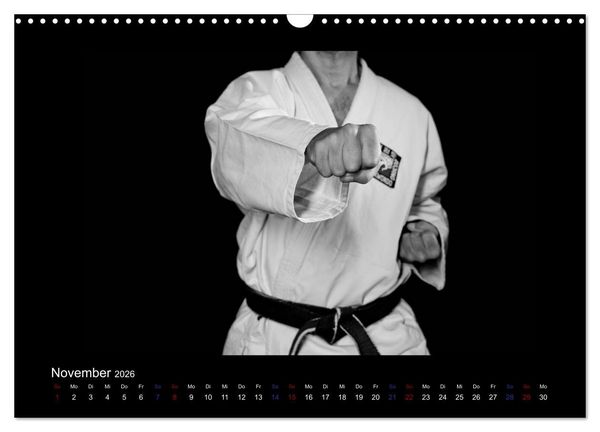 Produktbild: Traditionelles Taekwon-Do (Wandkalender 2026 DIN A3 quer), CALVENDO Monatskalender