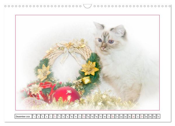Produktbild: Katzen &ndash; Treue Begleiter (CH - Version) (Wandkalender 2026 DIN A3 quer), CALVENDO Monatskalender
