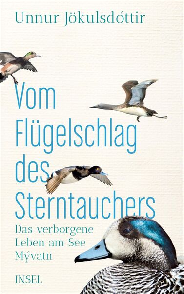 Produktbild: Vom Fl&uuml;gelschlag des Sterntauchers
