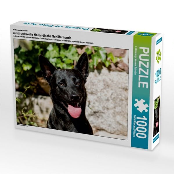 CALVENDO Puzzle Ein Motiv aus dem Kalender ausdrucksvolle Holländische Schäferhunde | 1000 Teile Lege-Größe 64x48cm Foto-Puzzle für glückliche Stunden