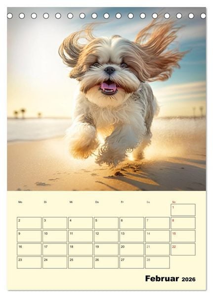 Produktbild: Shih Tzu Alarm. Gl&uuml;ckliche Wuschelk&ouml;pfe (Tischkalender 2026 DIN A5 hoch), CALVENDO Monatskalender