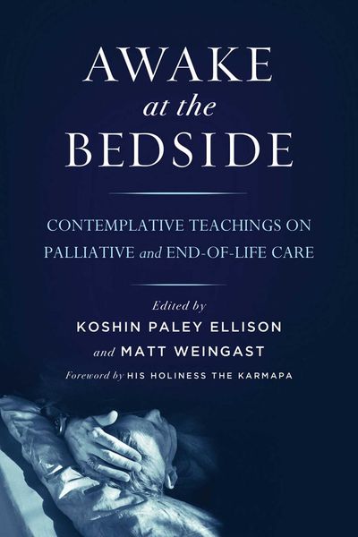 Produktbild: Awake at the Bedside