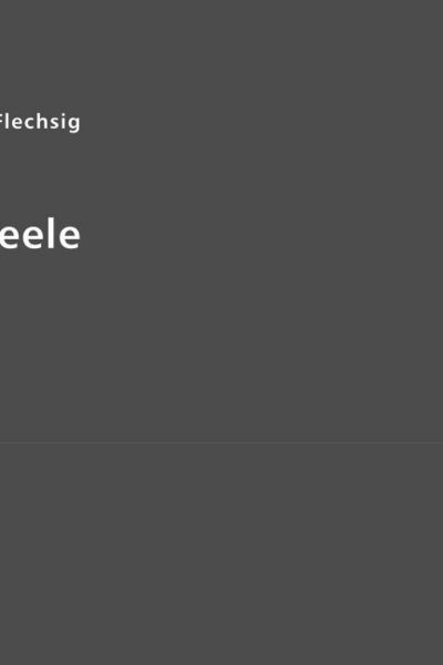 Produktbild: Flechsig, P: Gehirn und Seele