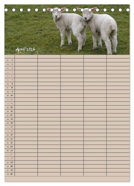 Produktbild: Der bel&auml;mmerte Familienplaner (Tischkalender 2026 DIN A5 hoch), CALVENDO Monatskalender