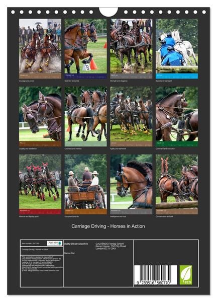 Produktbild: Carriage Driving - Horses in Action (Wall Calendar 2026 DIN A4 portrait), CALVENDO 12 Month Wall Calendar