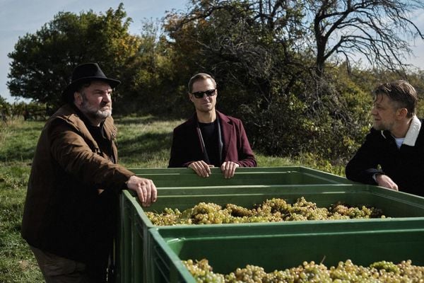 Produktbild: Blind ermittelt: Tod im Weinberg (Folge 8)