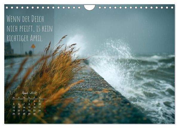 Produktbild: Moin Moin ist schon gesabbel - Norddeutscher Spr&uuml;che-Kalender (Wandkalender 2027 DIN A4 quer), CALVENDO Monatskalender
