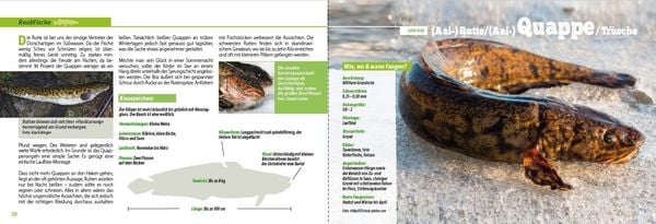 Produktbild: Angler-Lexikon der S&uuml;&szlig;wasserfische