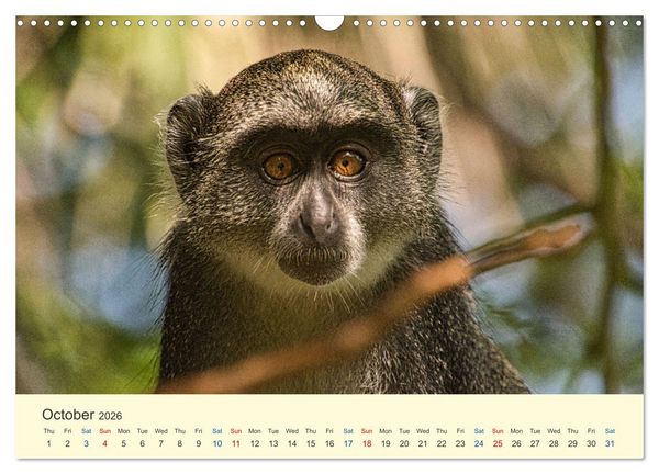 Produktbild: Wonderful Kenya (Wall Calendar 2026 DIN A3 landscape), CALVENDO 12 Month Wall Calendar