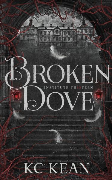 Produktbild: Broken Dove