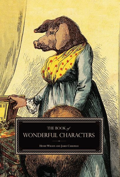 Produktbild: The Book of Wonderful Characters