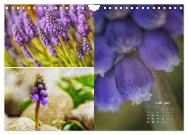 Produktbild: Blumenreise 2026 (Wandkalender 2026 DIN A4 quer), CALVENDO Monatskalender
